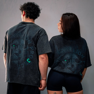 Lion Project